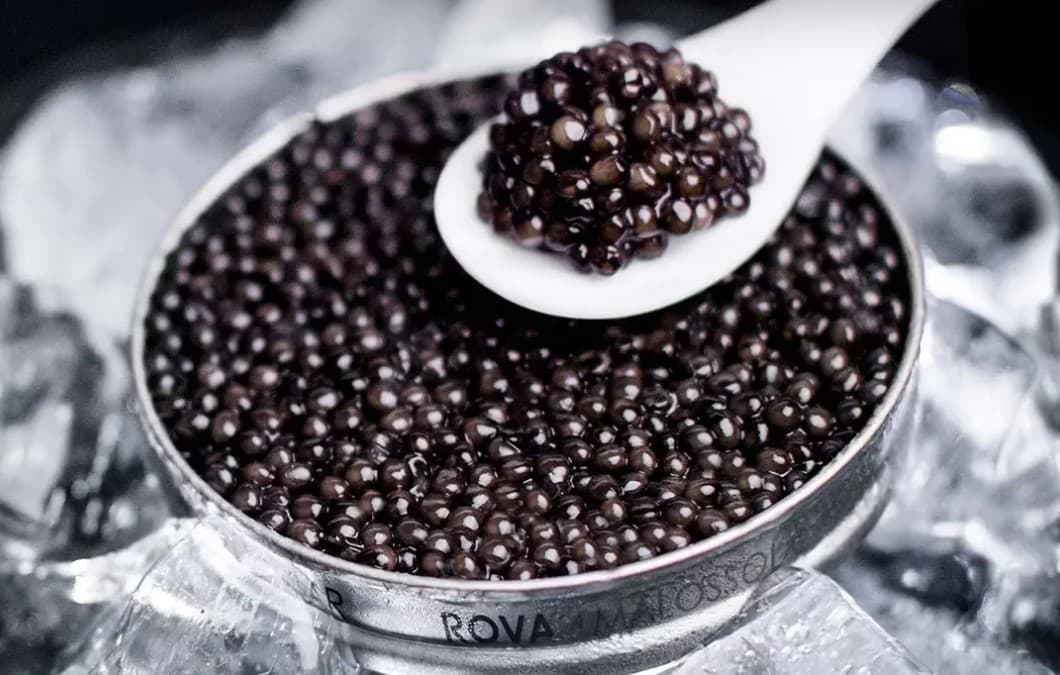 caviar