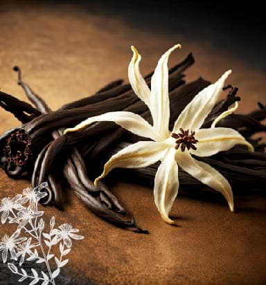 aromes-colorants-vanille